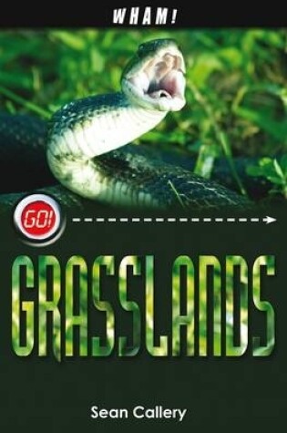 Cover of Wham! Grasslands