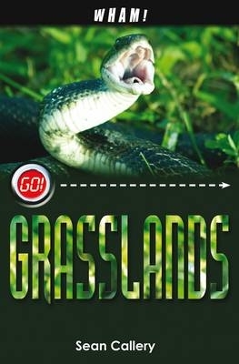 Book cover for Wham! Grasslands