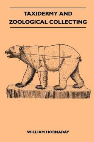 Cover of Taxidermy and Zoological Collecting - A Complete Handbook for the Amateur Taxidermist, Collector, Osteologist, Museum-Builder, Sportsman and Travellers