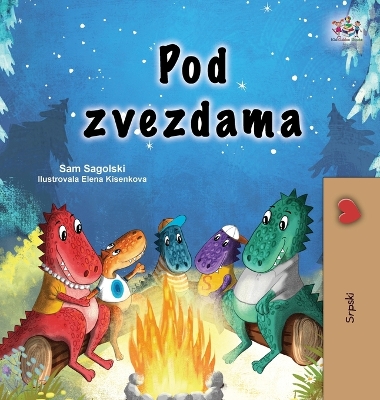 Book cover for Under the Stars (Serbian Children's Book - Latin Alphabet)