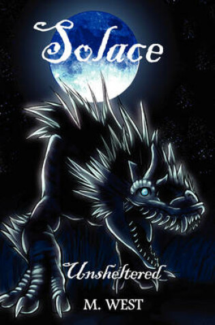 Cover of Solace