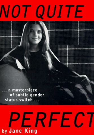 Book cover for Not Quite Perfect