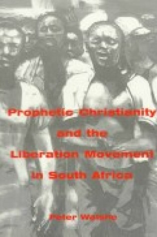 Cover of Biblical Hermeneutics of Liberation