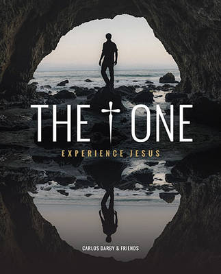 Book cover for The One