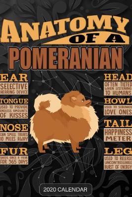 Book cover for Anatomy Of A Pomeranian