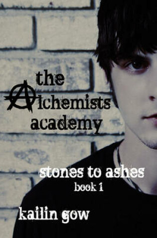 Cover of The Alchemists Academy