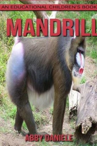 Cover of Mandrill! An Educational Children's Book about Mandrill with Fun Facts & Photos