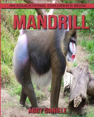 Book cover for Mandrill! An Educational Children's Book about Mandrill with Fun Facts & Photos