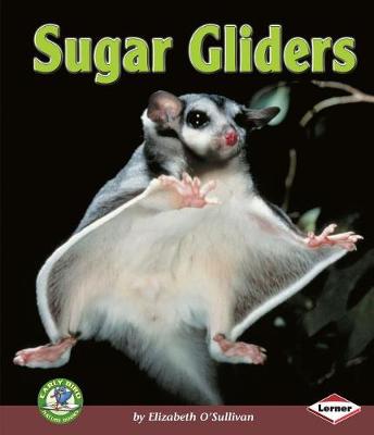 Cover of Sugar Gliders