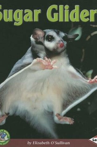 Cover of Sugar Gliders