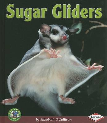 Book cover for Sugar Gliders