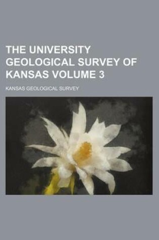 Cover of The University Geological Survey of Kansas Volume 3