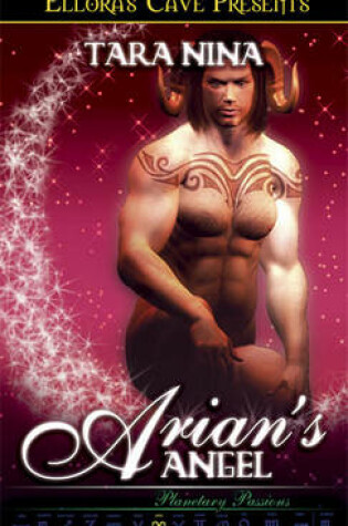 Cover of Arian's Angel