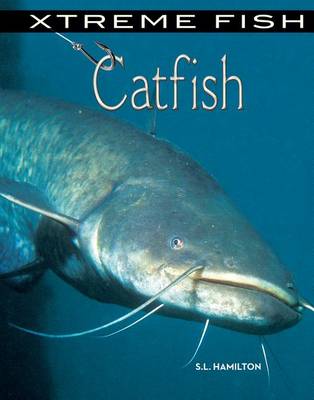 Book cover for Catfish