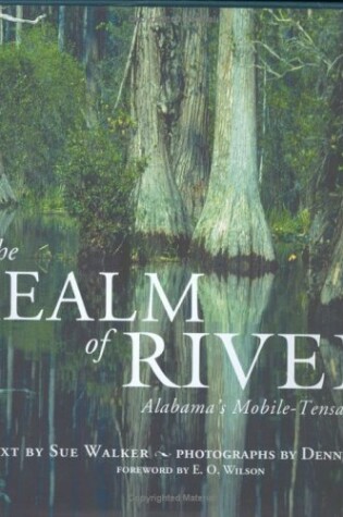 Cover of In the Realm of Rivers