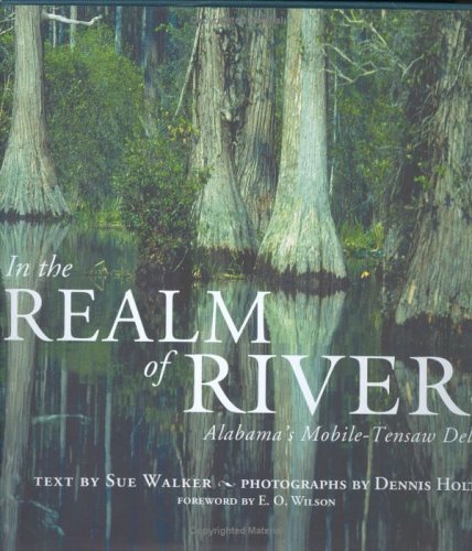 Book cover for In the Realm of Rivers