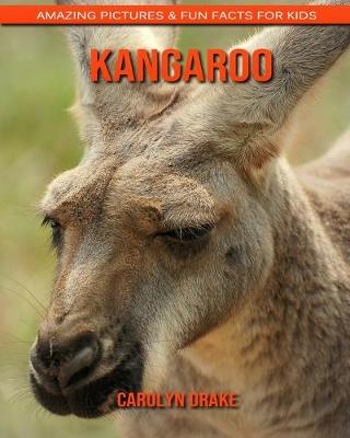 Book cover for Kangaroo