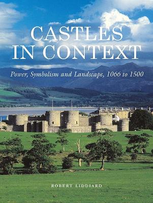 Book cover for Castles in Context