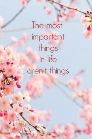 Cover of The Most Important Things in Life Aren't Things