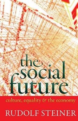 Book cover for The Social Future