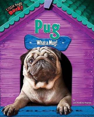 Book cover for Pug