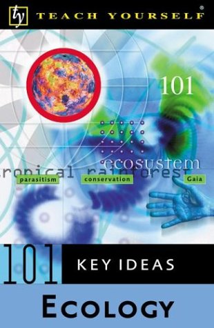 Book cover for Teach Yourself 101 Key Ideas
