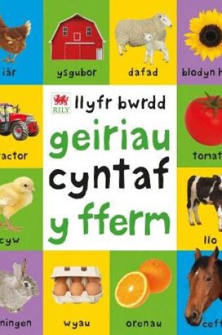 Cover of Geiriau Cyntaf Fferm