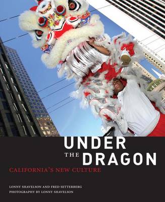 Book cover for Under the Dragon