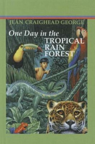 Cover of One Day in the Tropical Rainforest