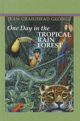 Book cover for One Day in the Tropical Rainforest