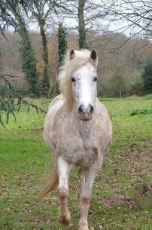 Cover of Lovely Red Speckled White Horse in a Pasture Journal