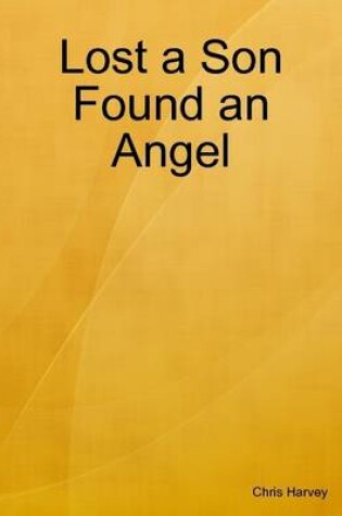 Cover of Lost a Son Found an Angel