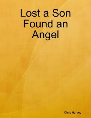 Book cover for Lost a Son Found an Angel