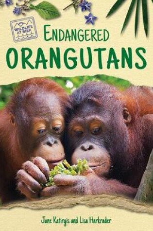 Cover of Endangered Orangutans