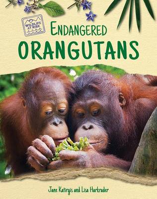 Book cover for Endangered Orangutans