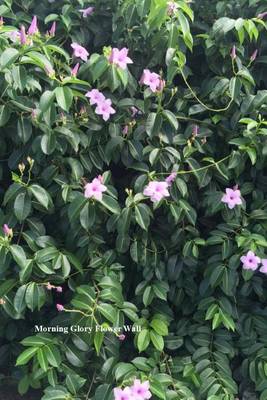 Book cover for Morning Glory Flower Wall