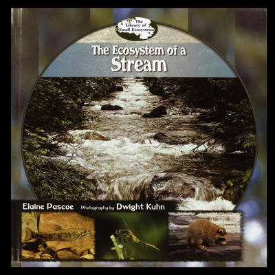 Cover of The Ecosystem of a Stream