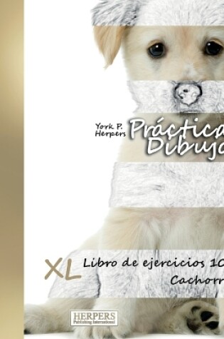 Cover of Práctica Dibujo - XL Libro de ejercicios 10
