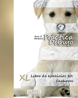 Book cover for Práctica Dibujo - XL Libro de ejercicios 10