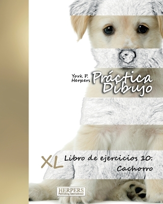 Cover of Práctica Dibujo - XL Libro de ejercicios 10