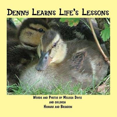 Book cover for Denny Learns Life's Lessons