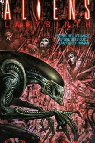 Cover of Labyrinth