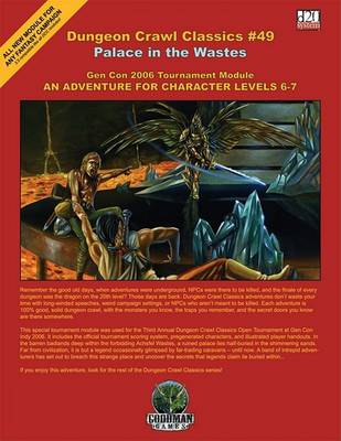 Book cover for The Palace in the Wastes