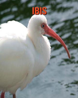 Book cover for Ibis