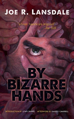 Book cover for By Bizarre Hands