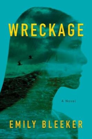 Cover of Wreckage