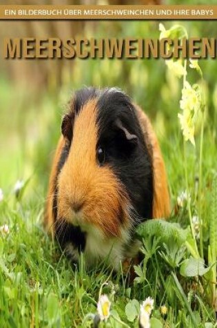 Cover of Meerschweinchen