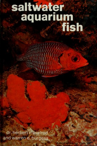 Cover of Salt Water Aquarium Fishes