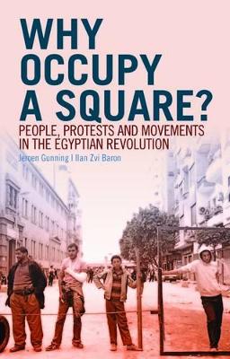 Book cover for Why Occupy a Square?