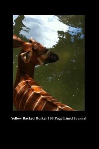 Cover of Yellow Backed Duiker 100 Page Lined Journal